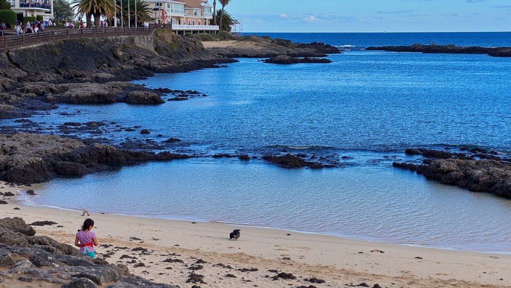 Arena de Playa del Jablillo, Arrecife (Lanzarote)