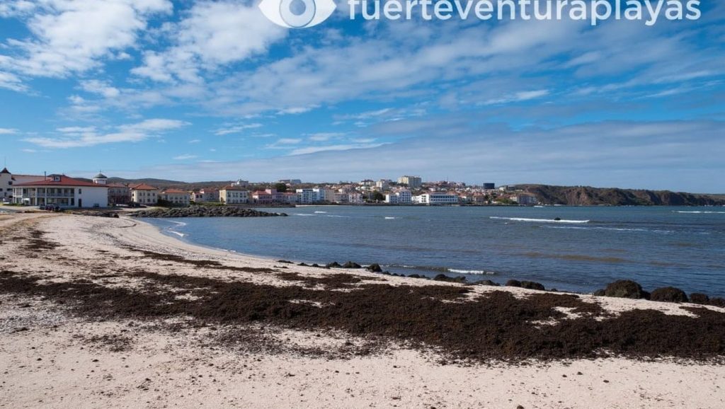 Aguas de Playa del Majanicho en La Oliva (Fuerteventura)