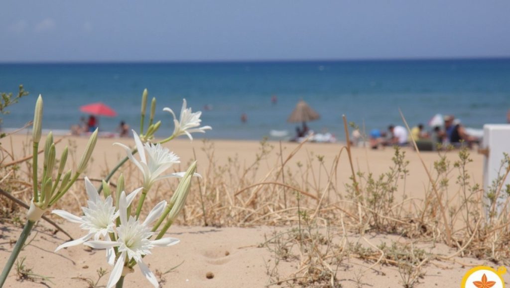 Playa del Marenyet — foto 6 de 6