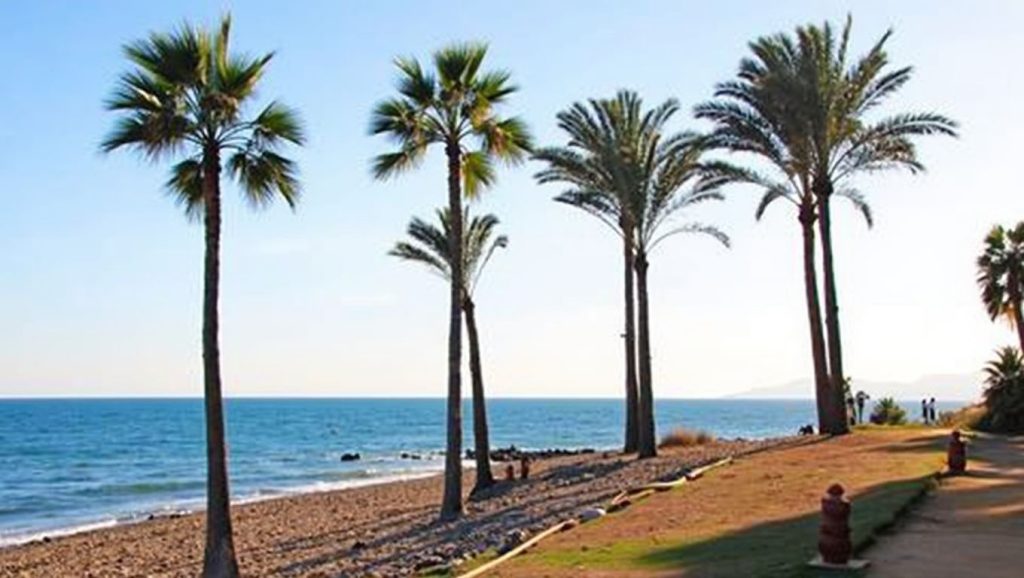 Playa del Padrón — foto 4 de 6