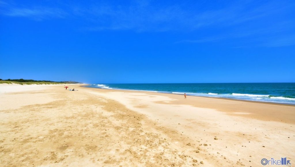Foto de Playa del Parque Litoral