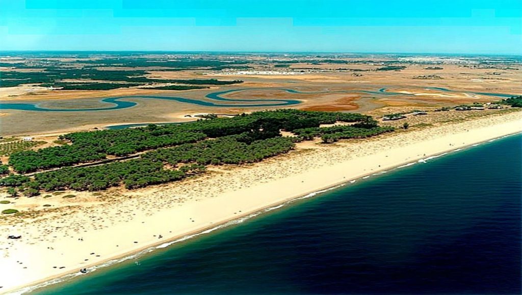 Foto de Playa del Parque Litoral