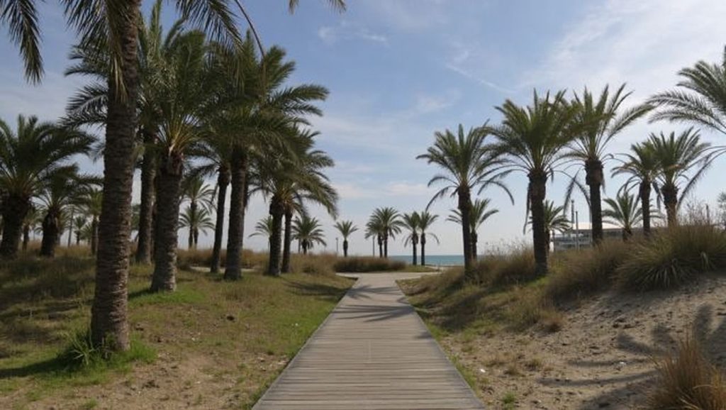 Playa del Pinar — foto 2 de 6