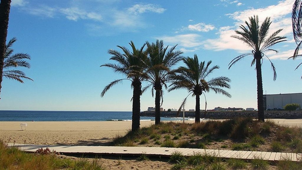 Playa del Pinar — foto 6 de 6