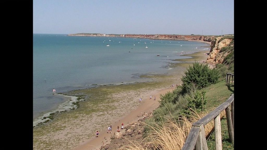Entorno de Playa del Roqueo, Conil de la Frontera, Cádiz
