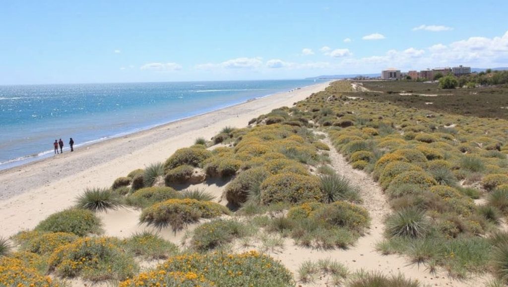 Playa del Saler — foto 1 de 6