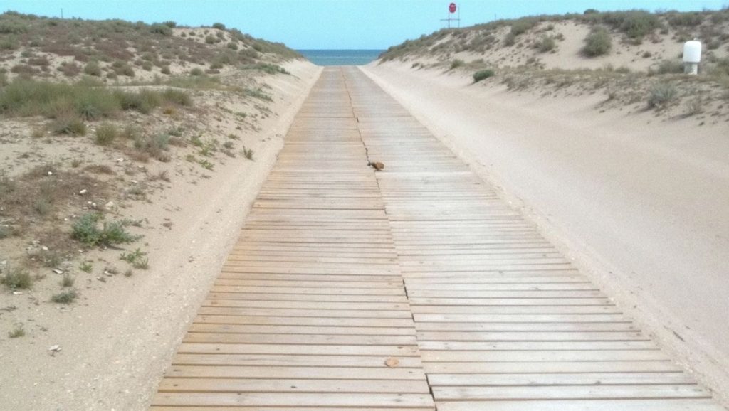 Playa del Saler — foto 6 de 6