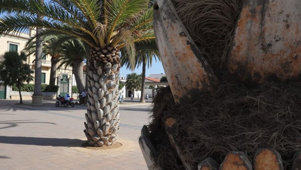 Playa El Pescador — foto 4 de 6