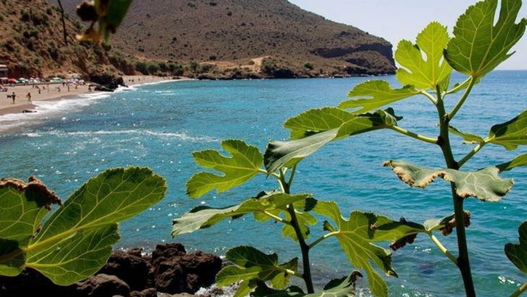 Playa El Portús — foto 3 de 6