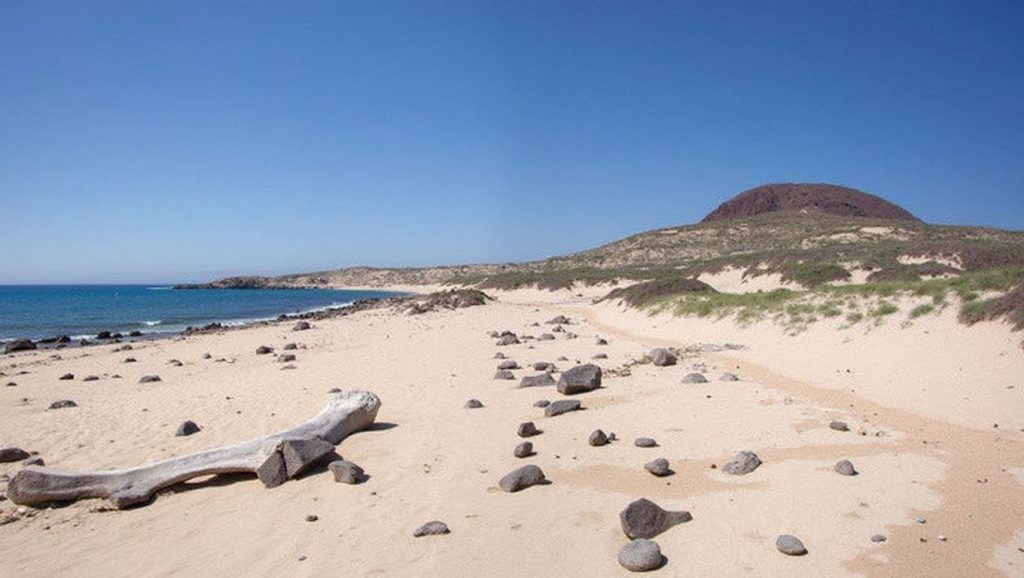 Entorno natural de Playa Francesa en Lanzarote