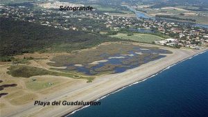 Playa Guadalquitón