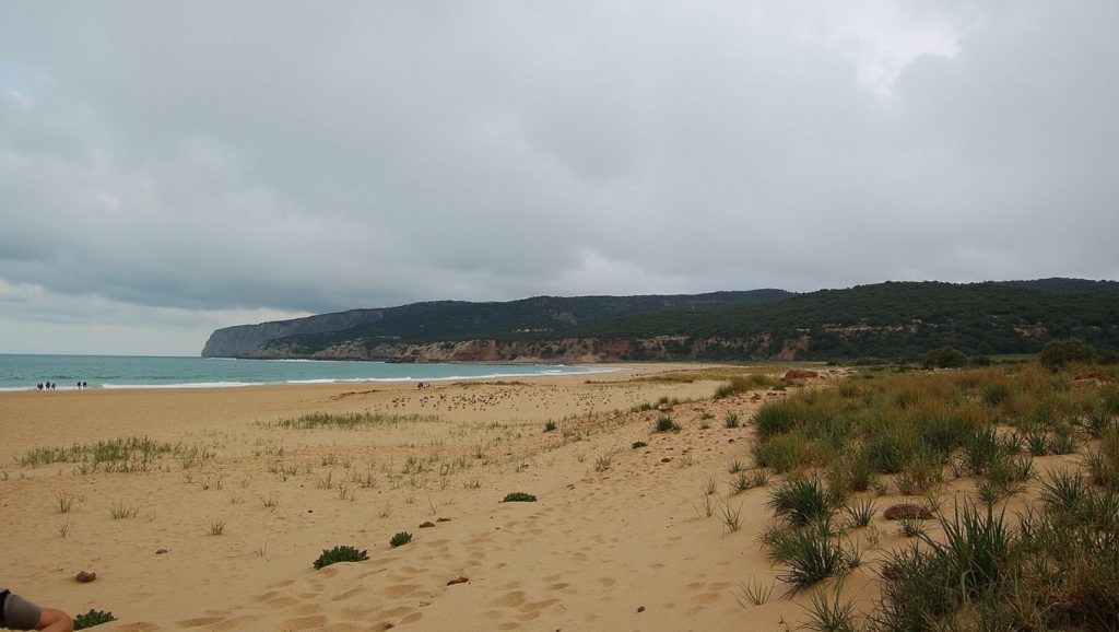 Camino de acceso a Hierbabuena, Barbate, Cádiz
