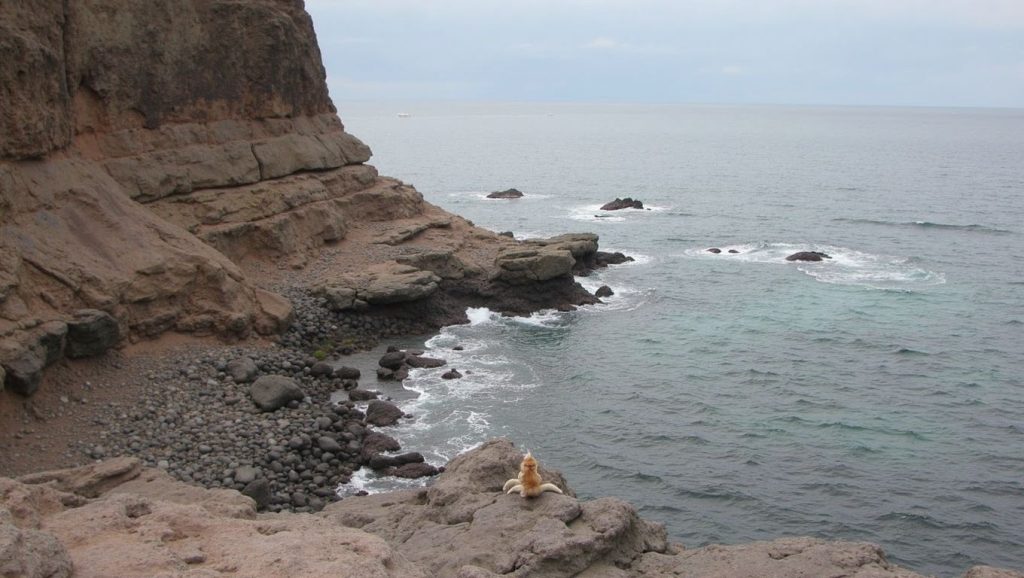 Arena volcánica de Playa La Caleta, Agaete (Gran Canaria)