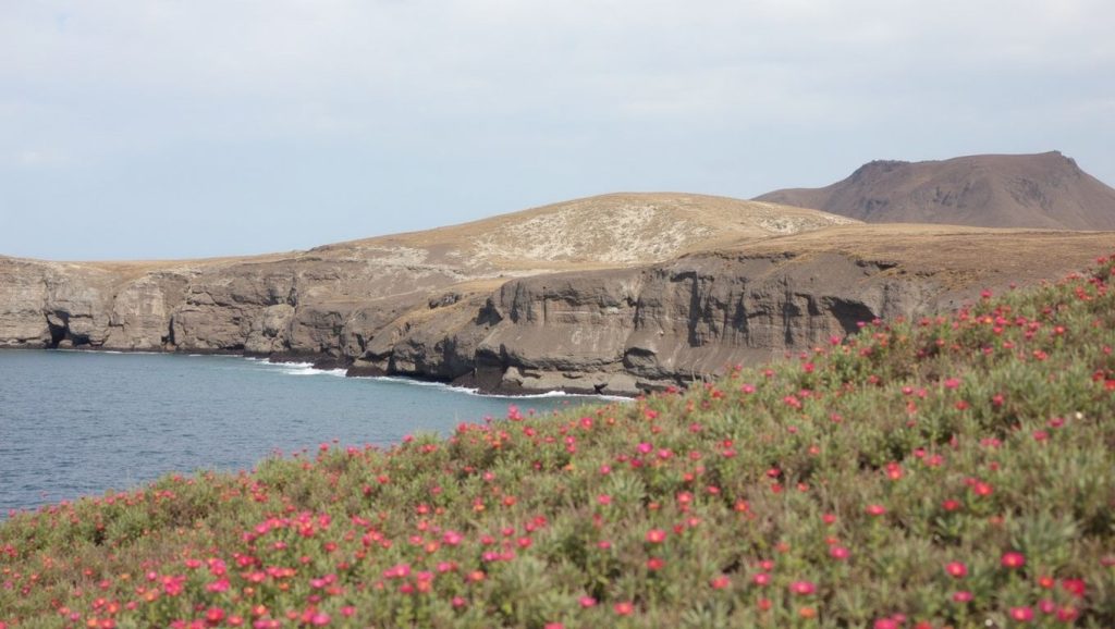 Entorno natural de Playa La Caleta en Gran Canaria