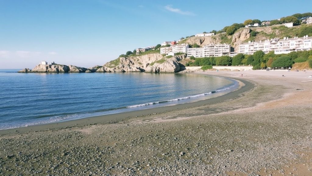 Foto de Playa La Herradura (Los Berengueles)