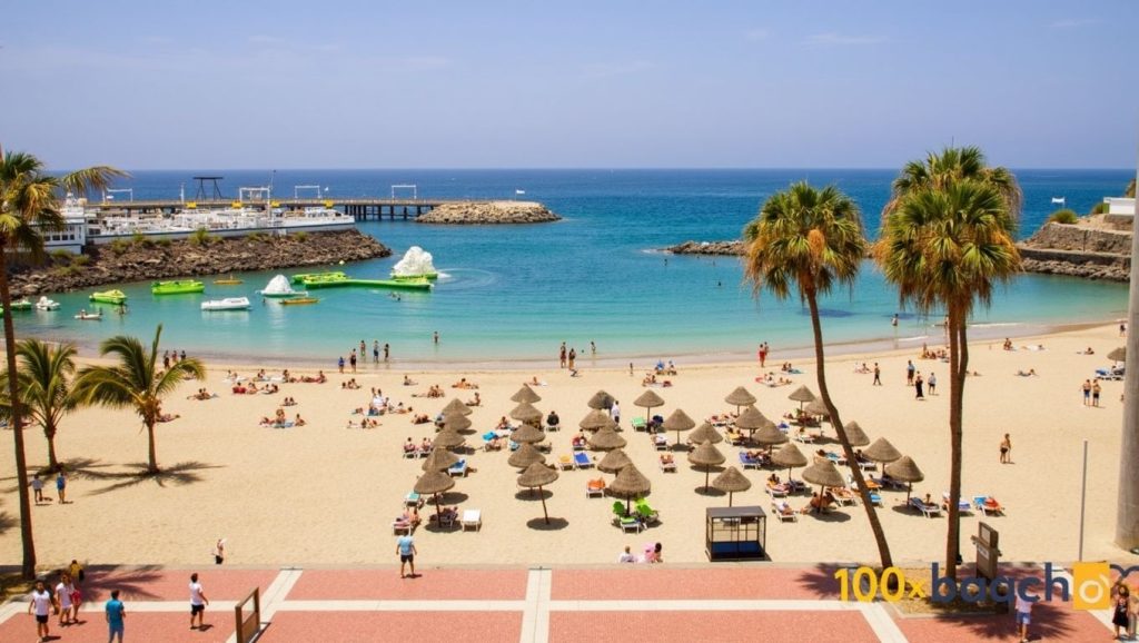 Arena volcánica de Playa La Pinta, Adeje (Tenerife)