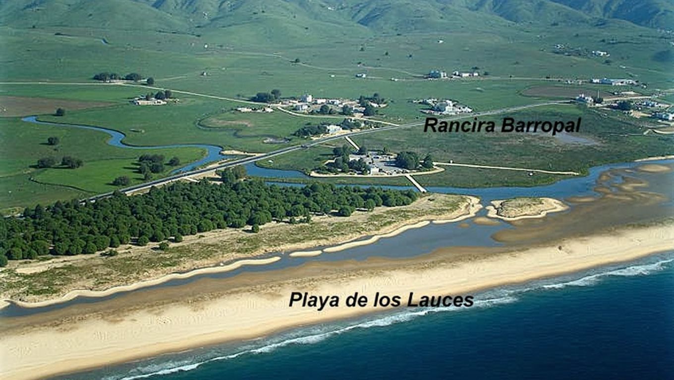 Playa Los Lances Norte Cádiz