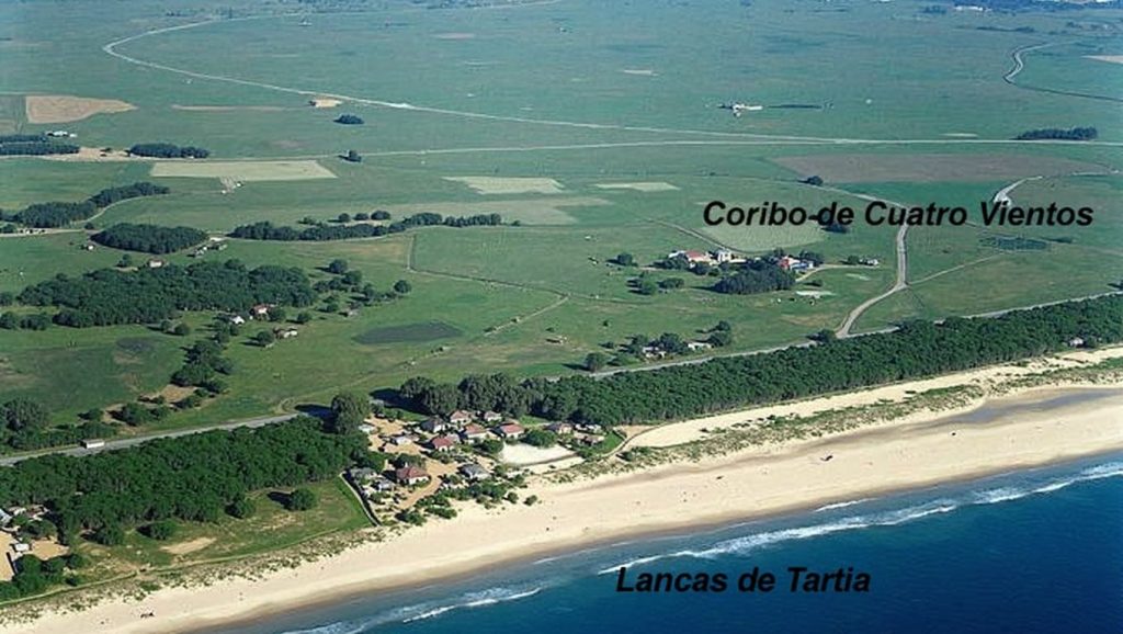 Alrededores de Playa Los Lances Norte, Tarifa