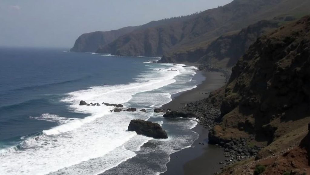 Entorno natural de Playa Los Patos en Tenerife