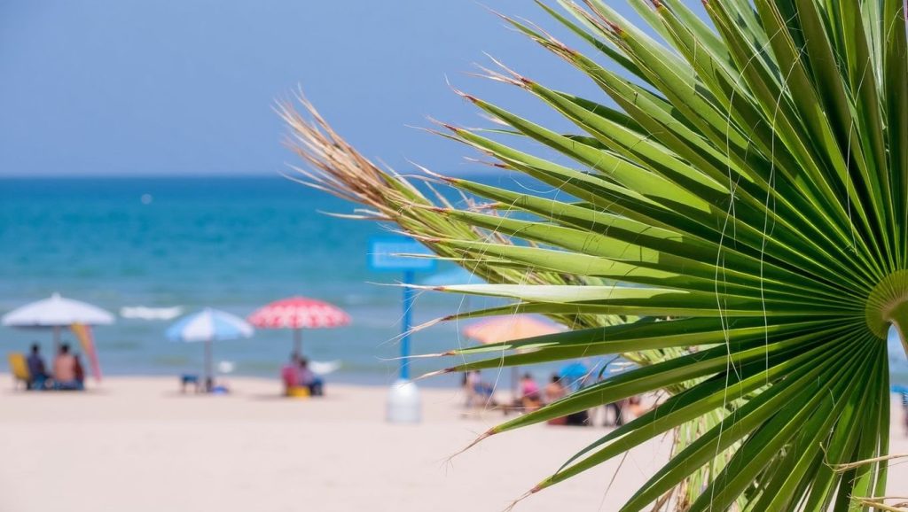 Playa Miramar — foto 6 de 6