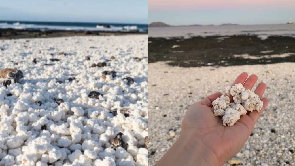 Playa Palomitas en Teguise (Lanzarote)
