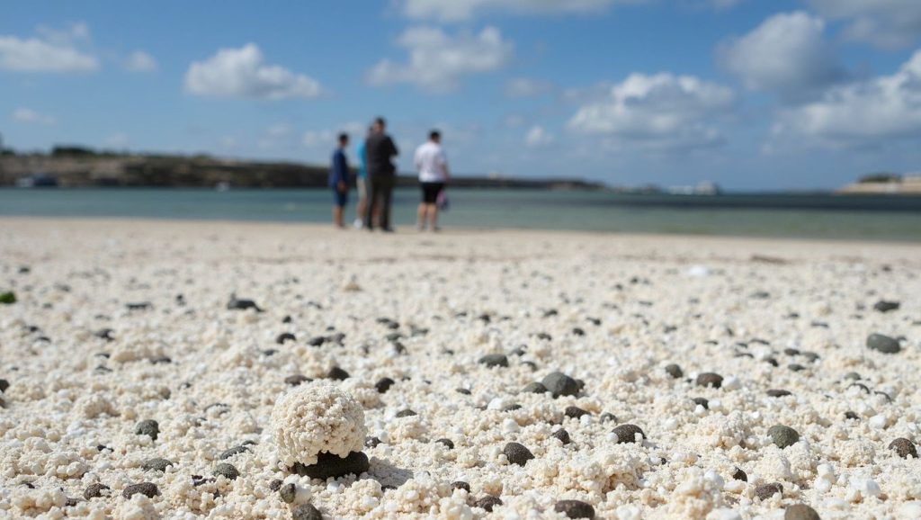 Panorámica de Playa Palomitas, Lanzarote