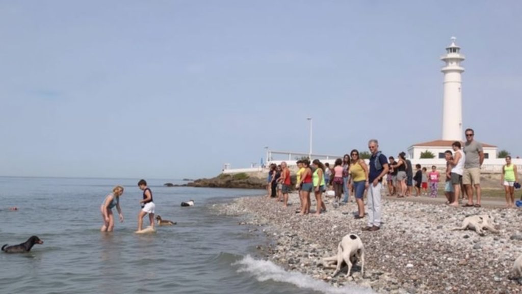 Vista de Playa Para Campers de Torrox Costa en Torrox, Málaga