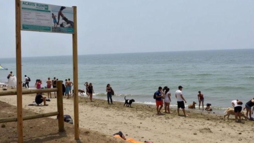 Imagen principal de Playa Para Perros de Estepona, Estepona