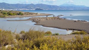 Playa Para Perros de Guadalmar
