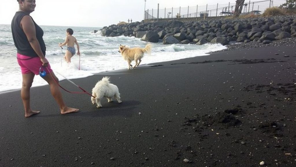 Arena volcánica de Playa para perros El Cabezo, Güímar (Tenerife)