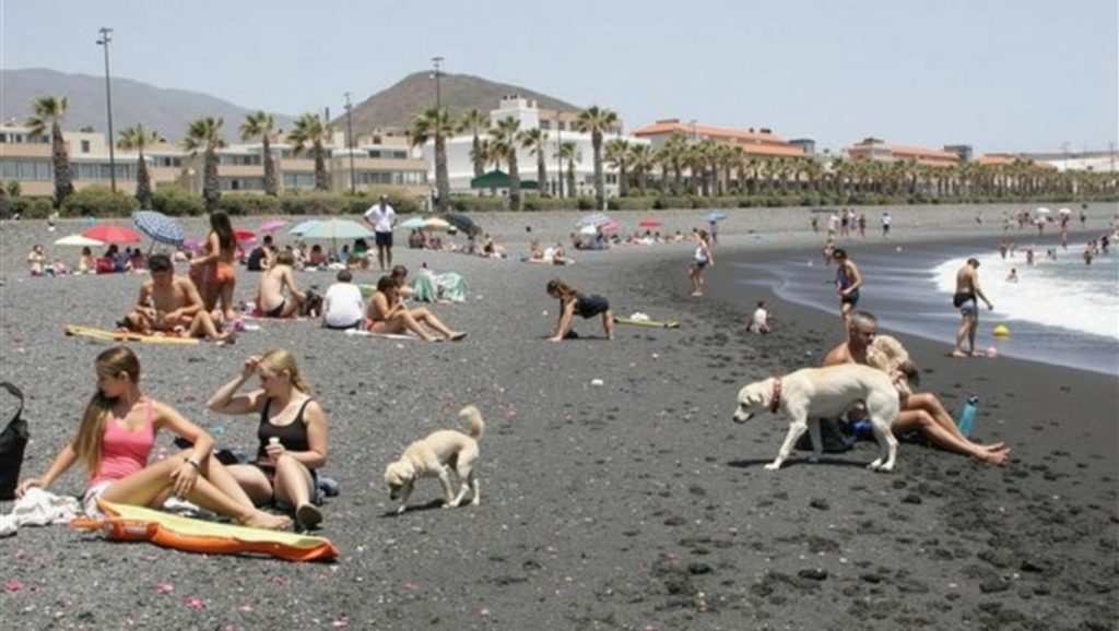 Entorno natural de Playa para perros El Cabezo en Tenerife