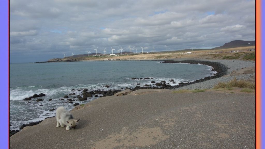Aguas de Playa Pelada en Granadilla de Abona (Tenerife)