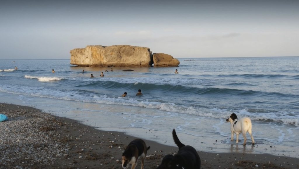 Playa Piedra Paloma — foto 2 de 6