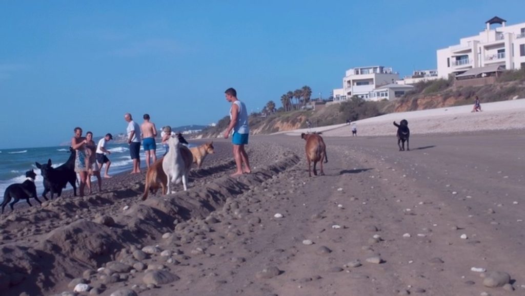 Playa Piedra Paloma — foto 4 de 6