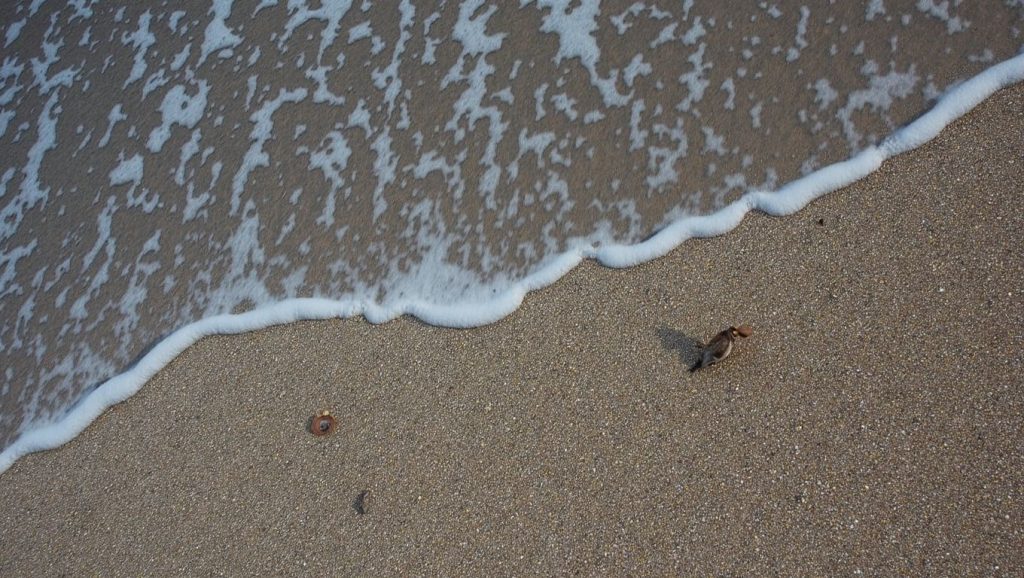 Vista de Playa Pozuelo de Albuñol desde la orilla, Albuñol