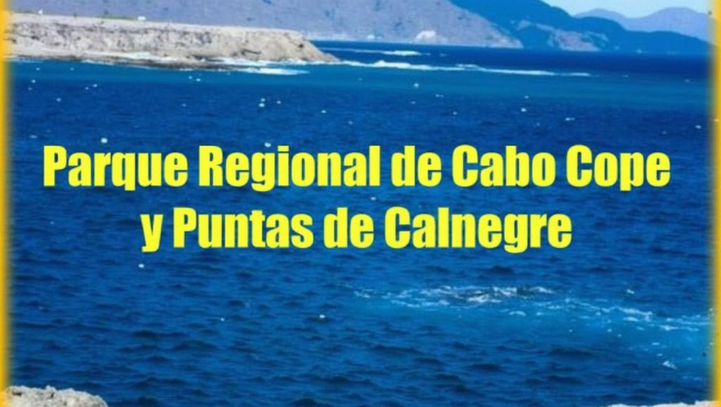 Playa Puntas de Calnegre — foto 6 de 6