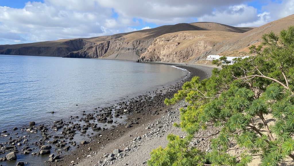 Arena volcánica de Playa Quemada, Yaiza (Lanzarote)