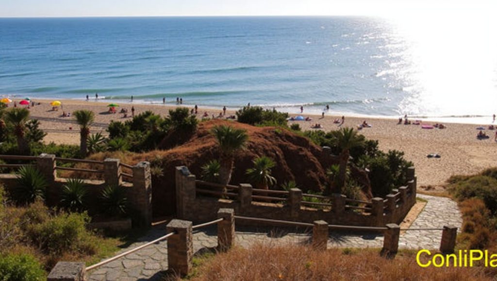Primer plano de la orilla de Calas de Roche, Conil de la Frontera