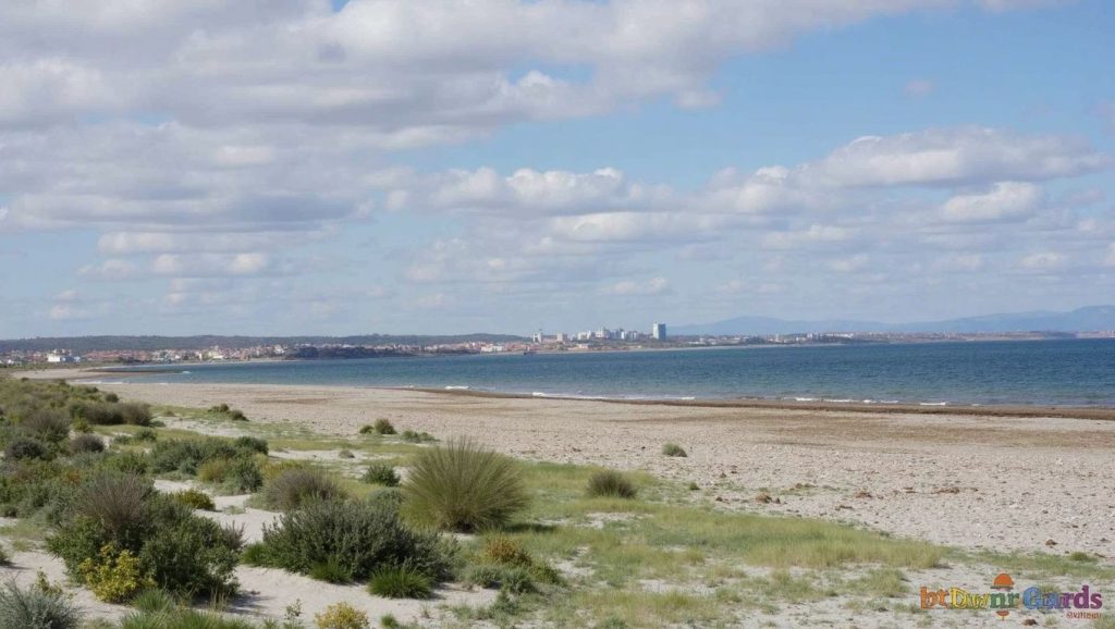 Playa Torre Derribada (Las Salinas) — foto 5 de 6