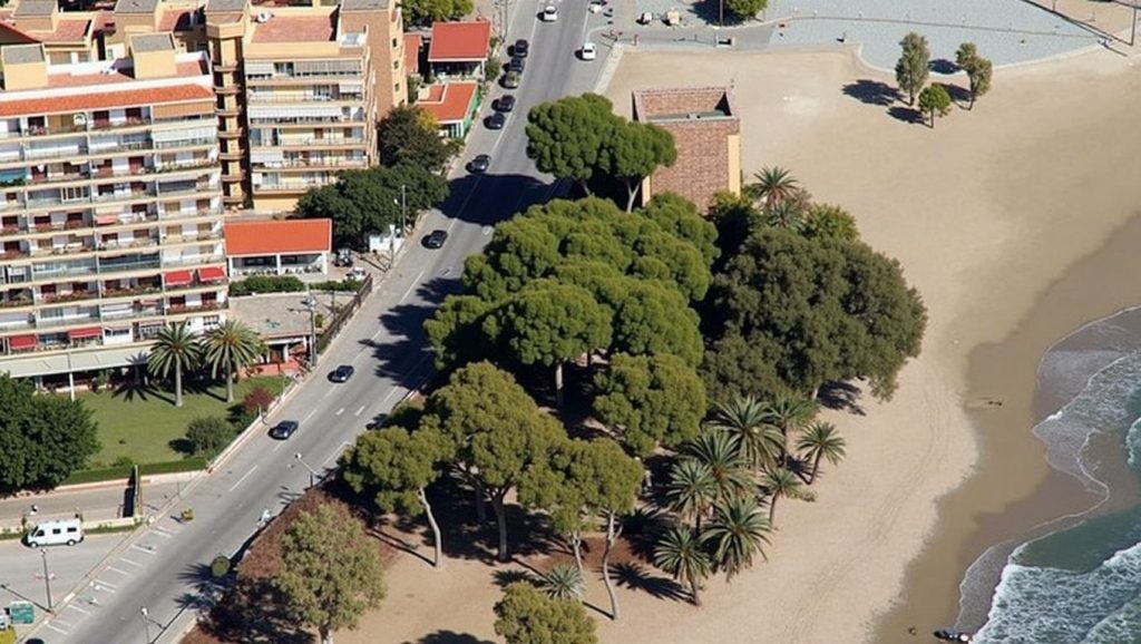 Playa Torre Sant Vicent — foto 6 de 6
