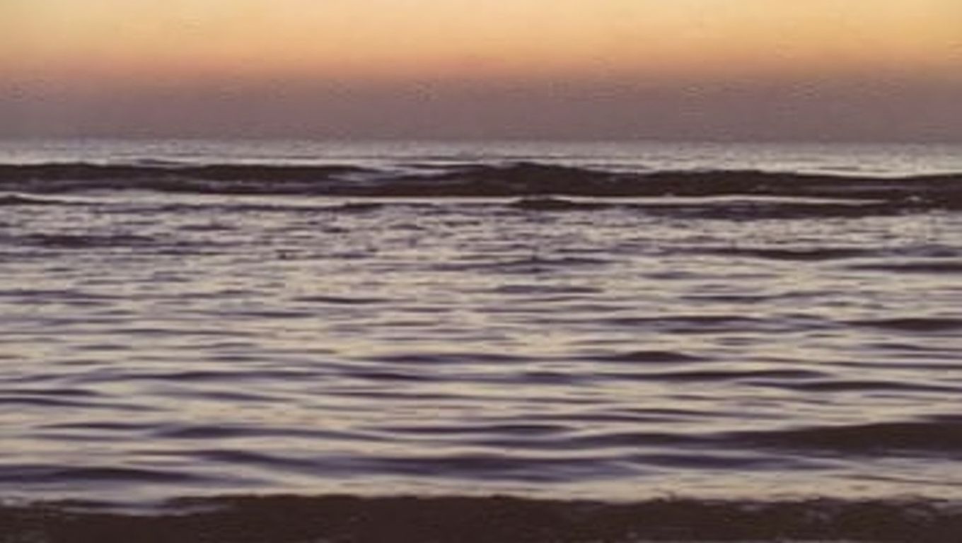 Platja de Venècia (Gandia, Valencia)