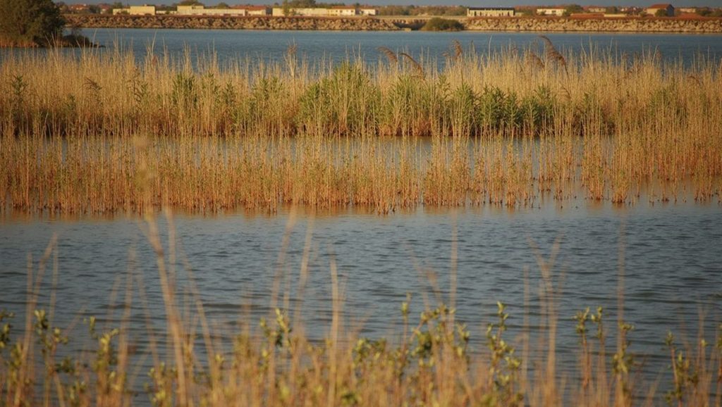 Playas de La Llana (Las Salinas) — foto 5 de 6