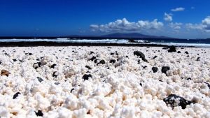 Popcorn Beach (La Oliva, Fuerteventura)