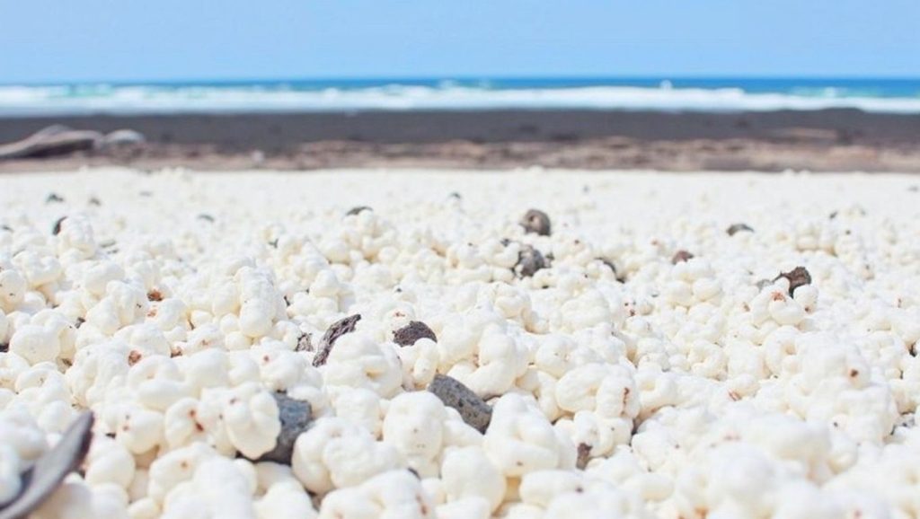 Popcorn Beach — foto 3 de 6