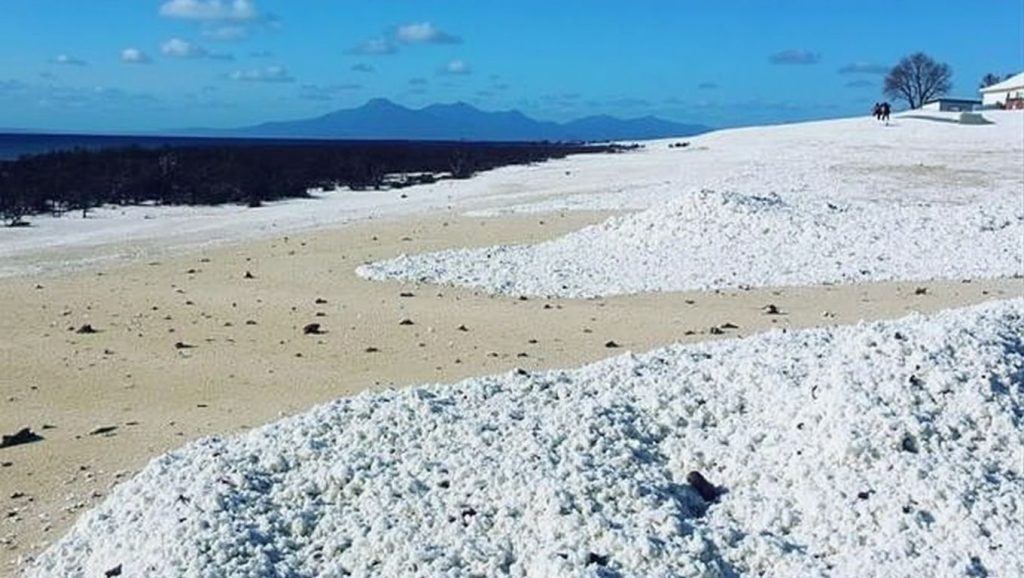 Popcorn Beach — foto 5 de 6