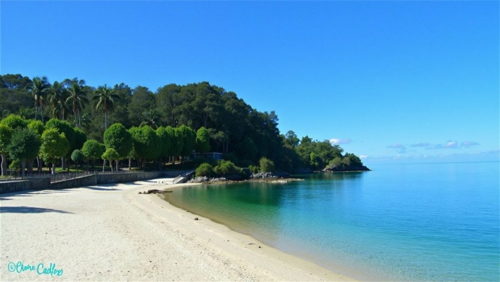 Foto de portocelo