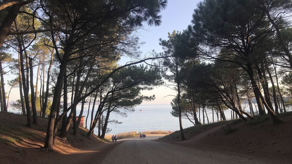 Praíña das Eiras — foto 6 de 6