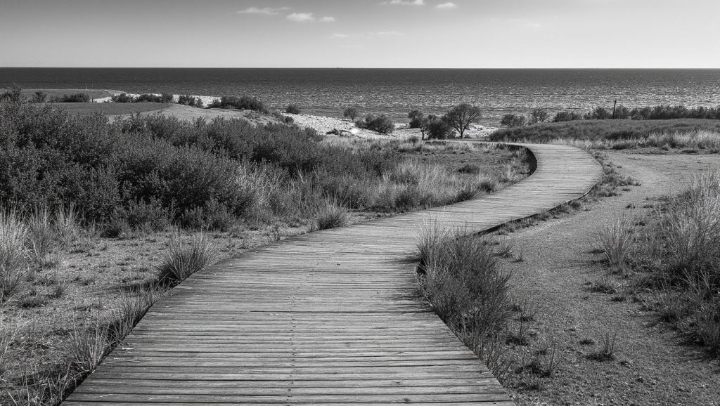 Praia da Arca — foto 5 de 6