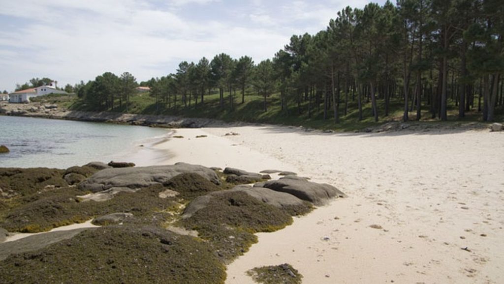 Playa de Praia da Area da Secada, Galicia, costa de A Coruña