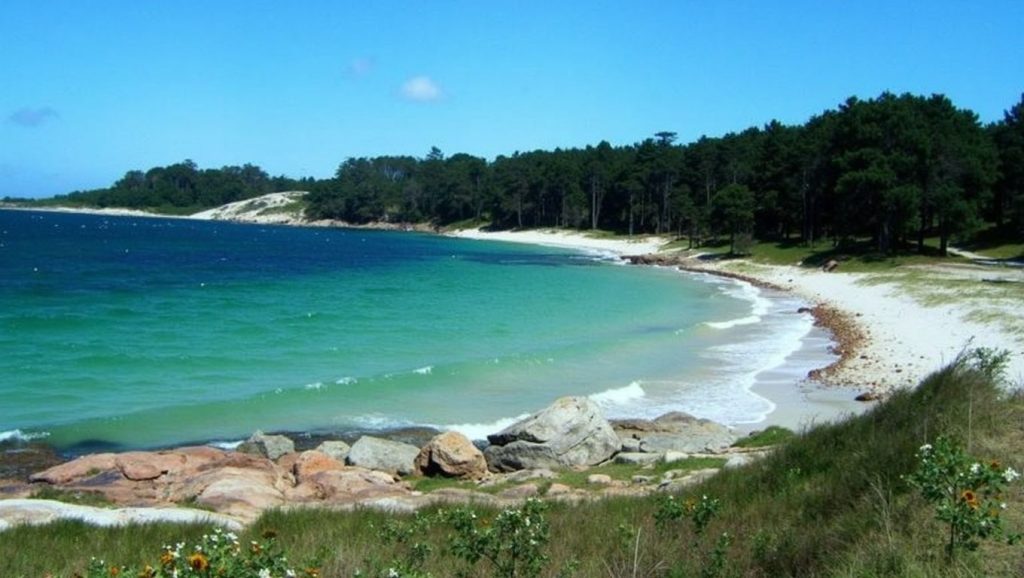 Primer plano de la orilla de Praia da Area da Secada, Galicia